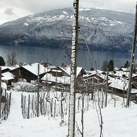 Rosengaertli Hotel Leissigen