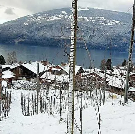 Rosengaertli * Leissigen